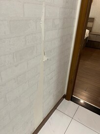 Wall paper peeled everywhere and mold