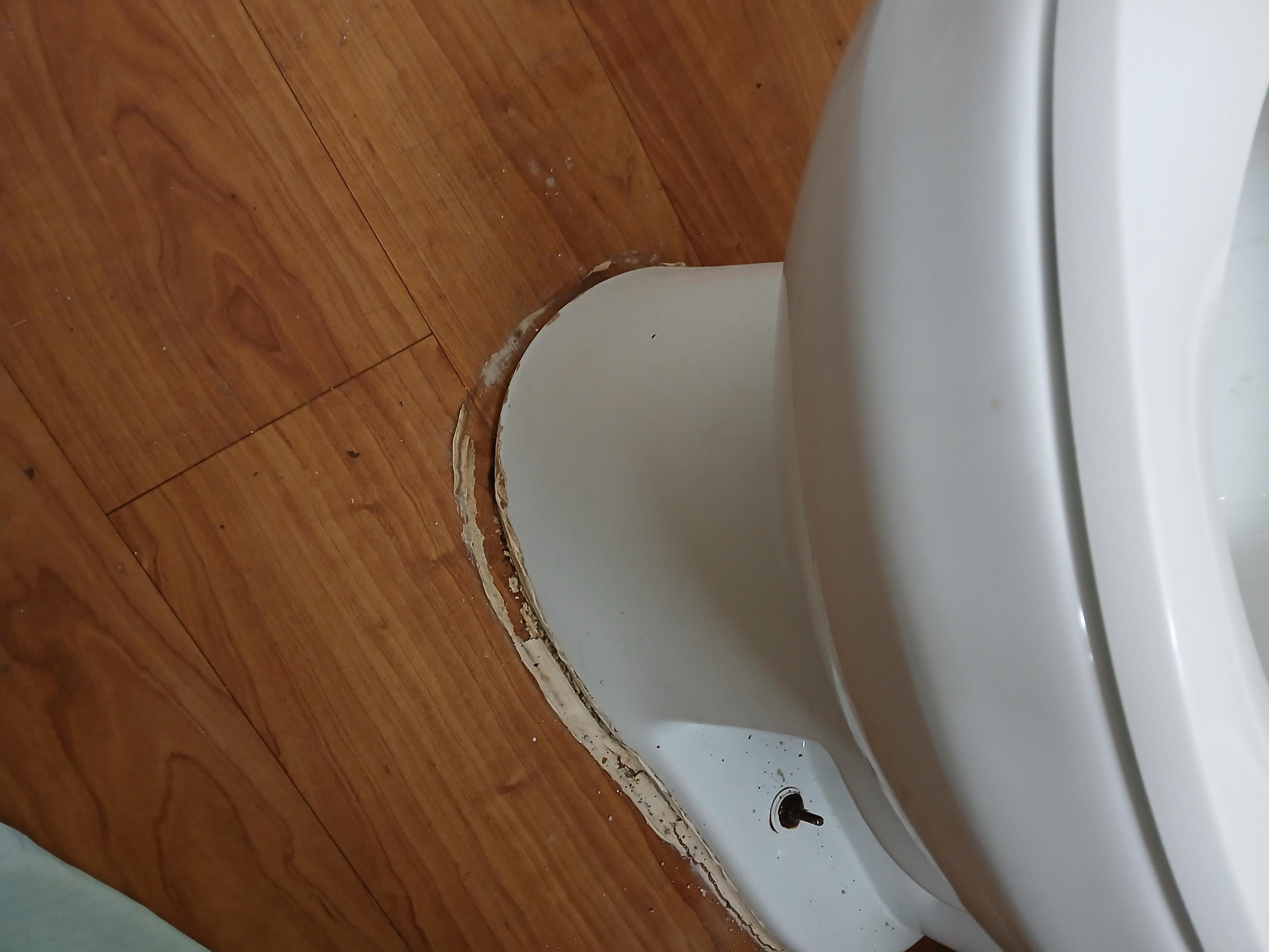 Toilet leaking.