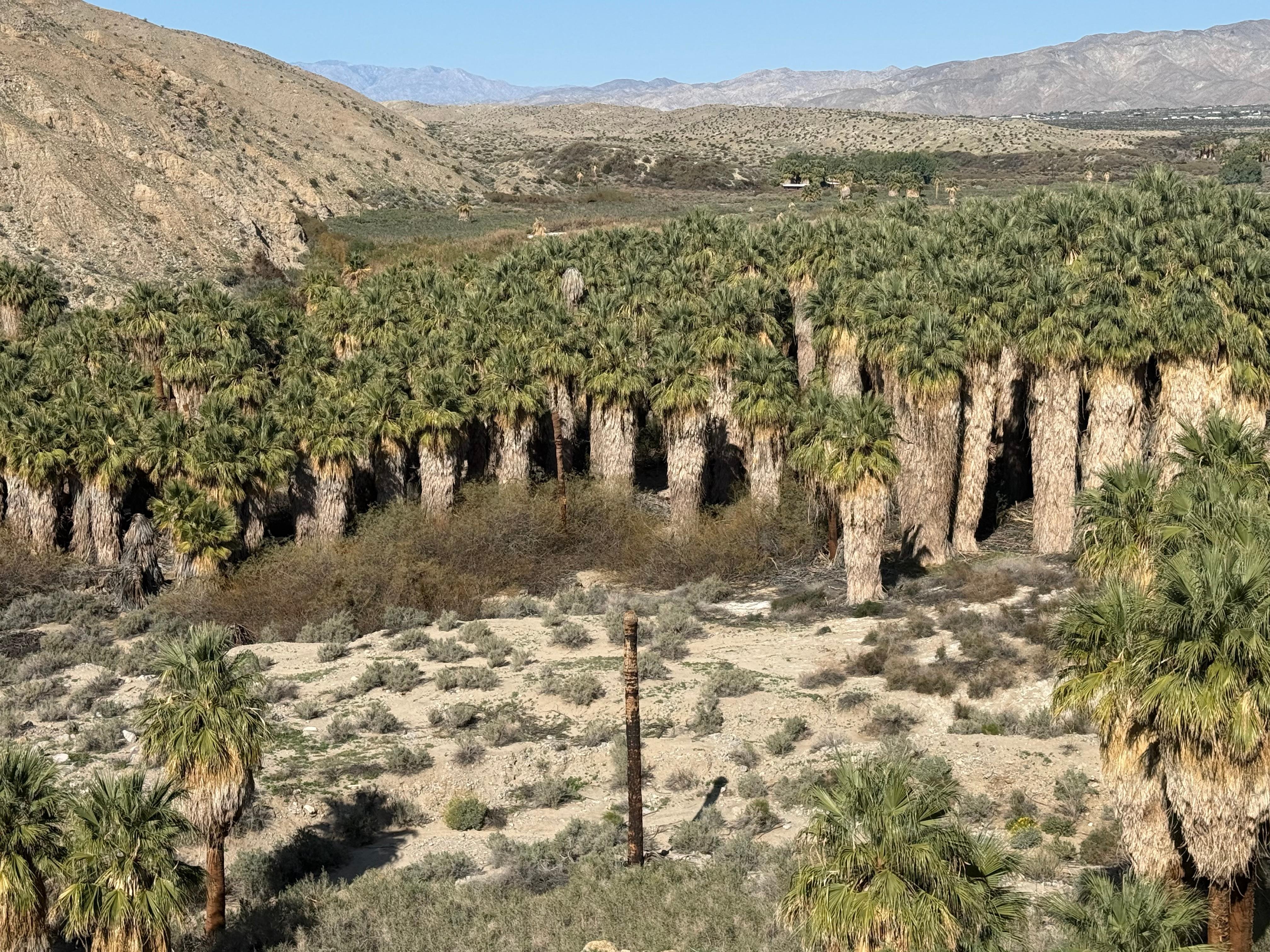 Thousand Palms nature area about a 15 minute drive 