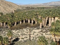 Thousand Palms nature area about a 15 minute drive