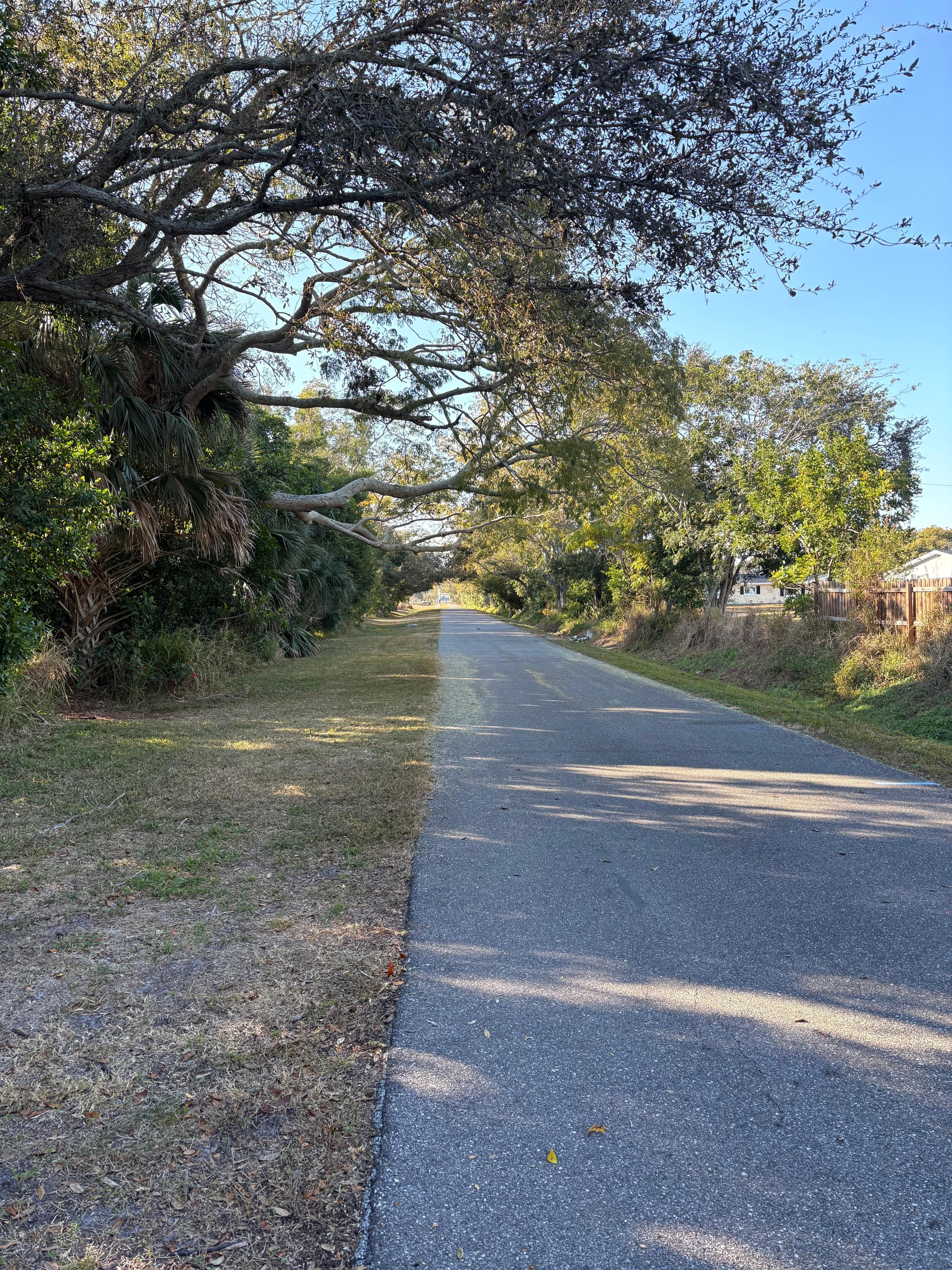 The Pinellas Trail for bikes, walking and dog walks.  