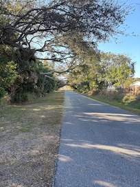 The Pinellas Trail for bikes, walking and dog walks.