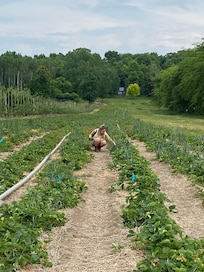 Campbell’s Orchard and Country Market