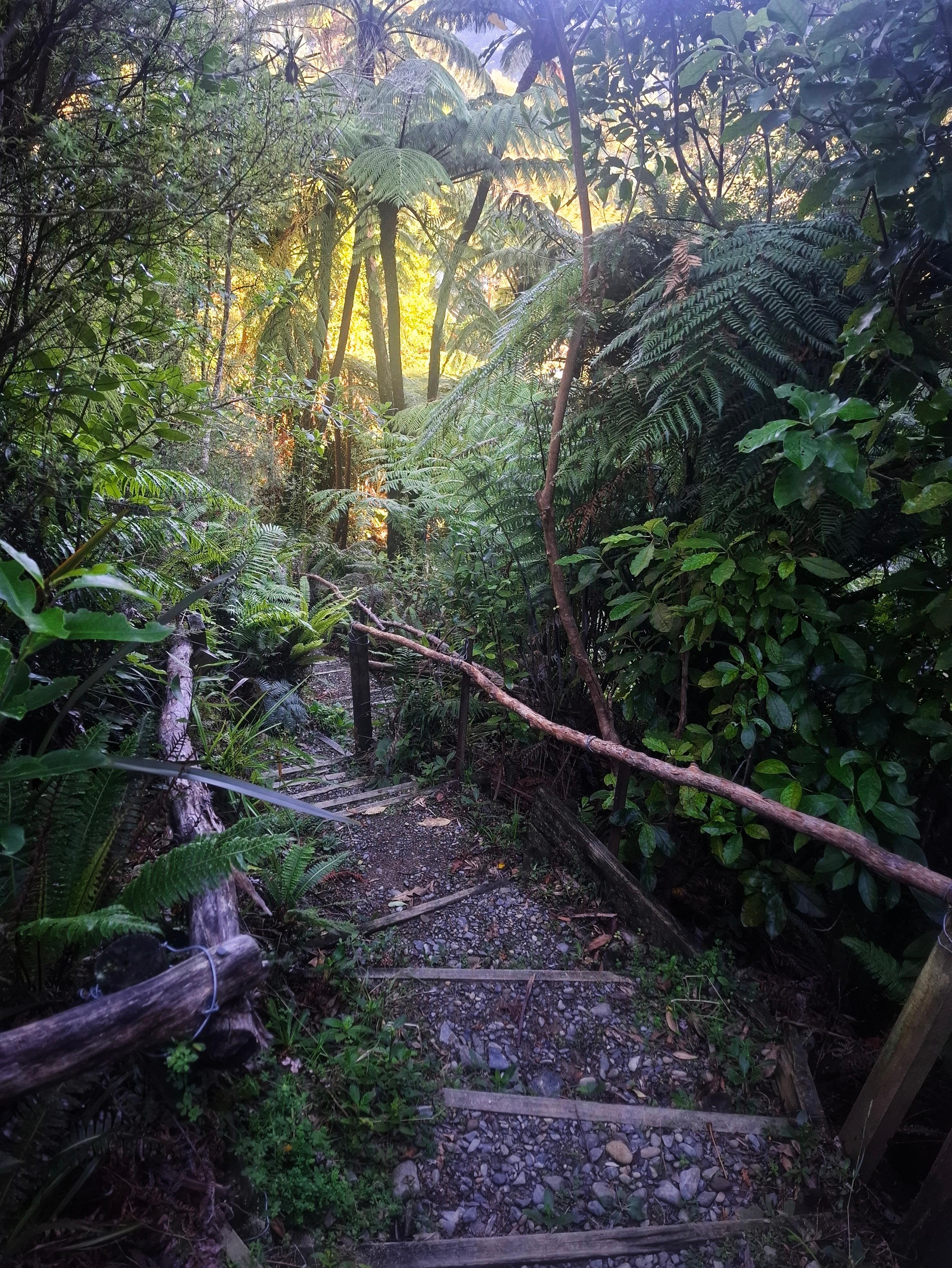 The walk down to the water from the cul de sac