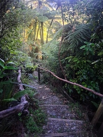 The walk down to the water from the cul de sac