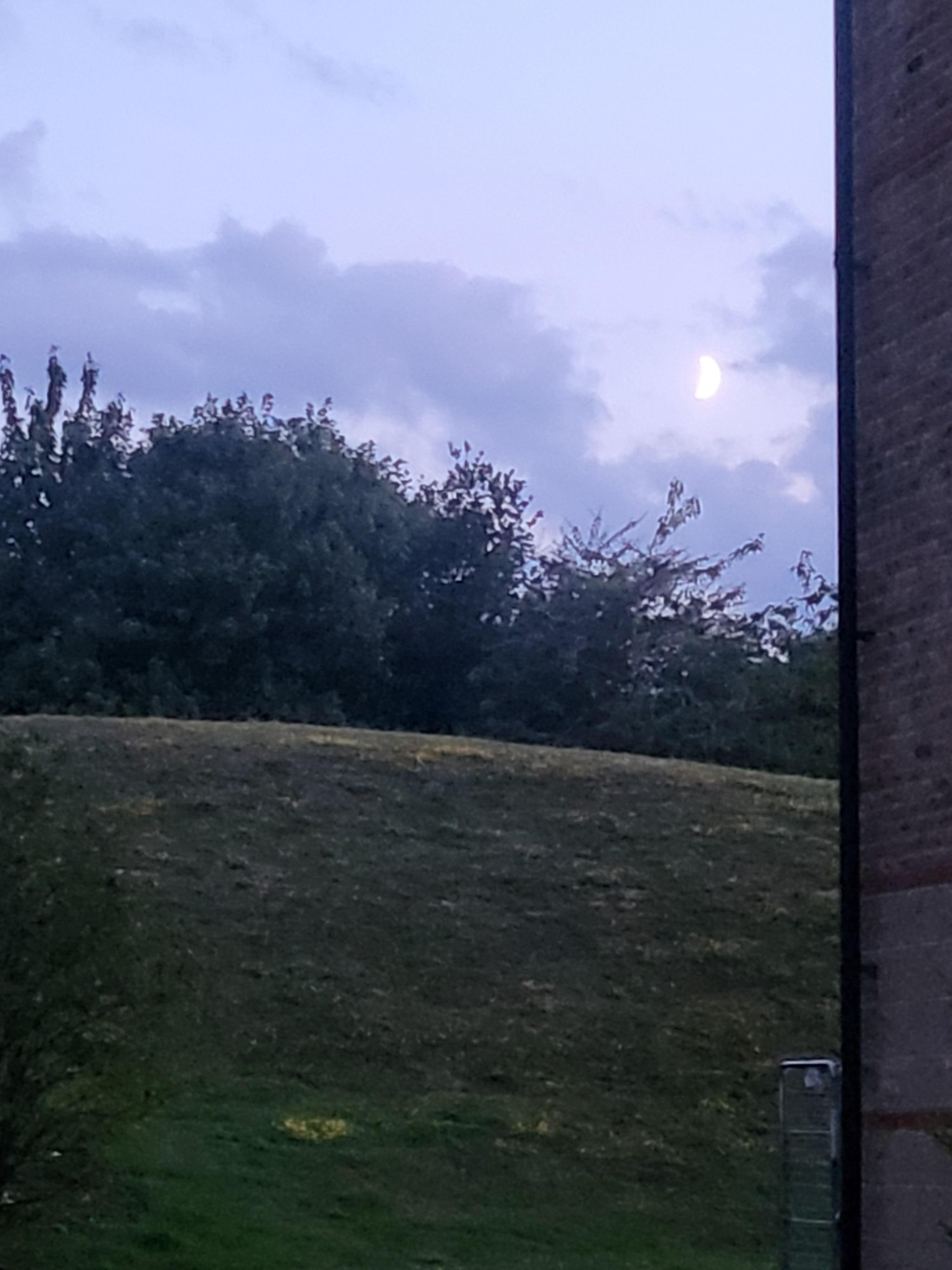 View from the outdoor seating area