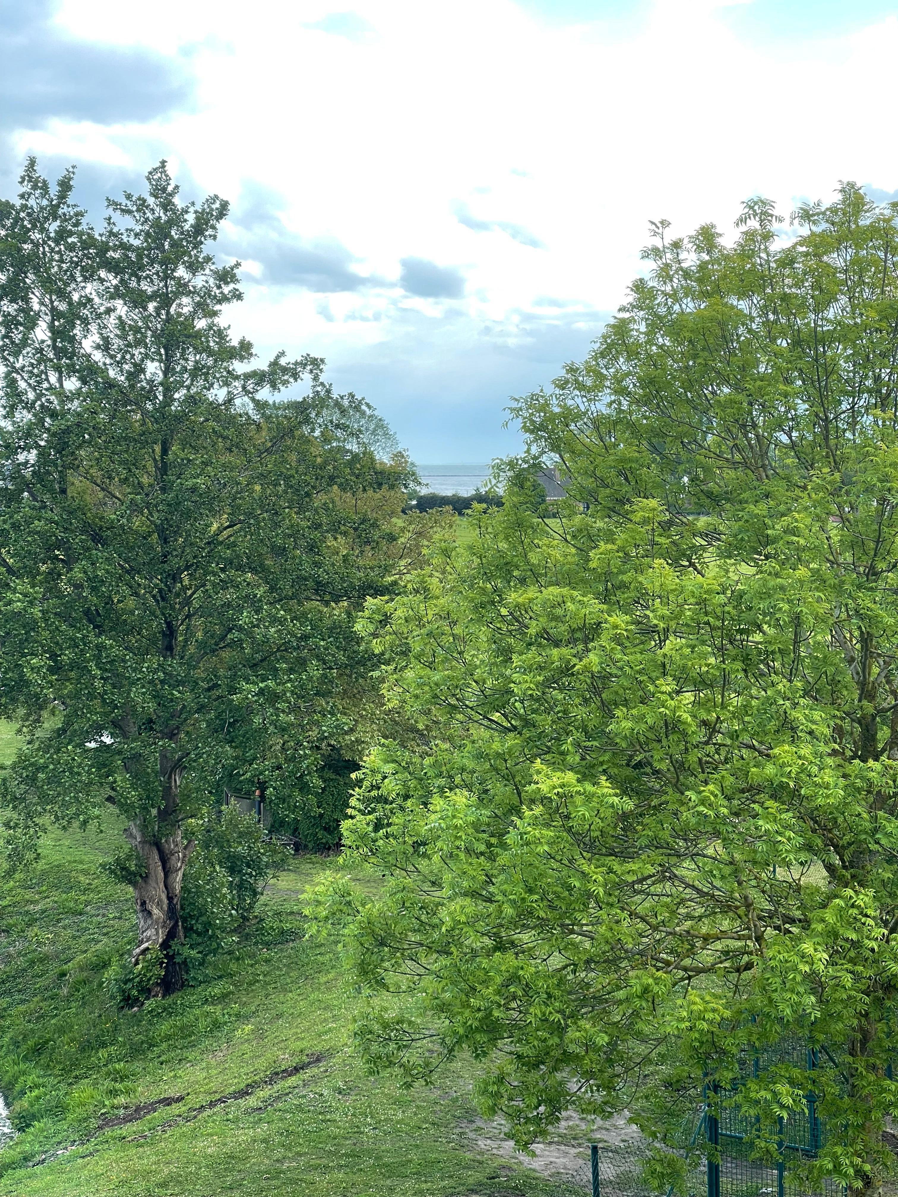 Ausblick Schlafzimmer 