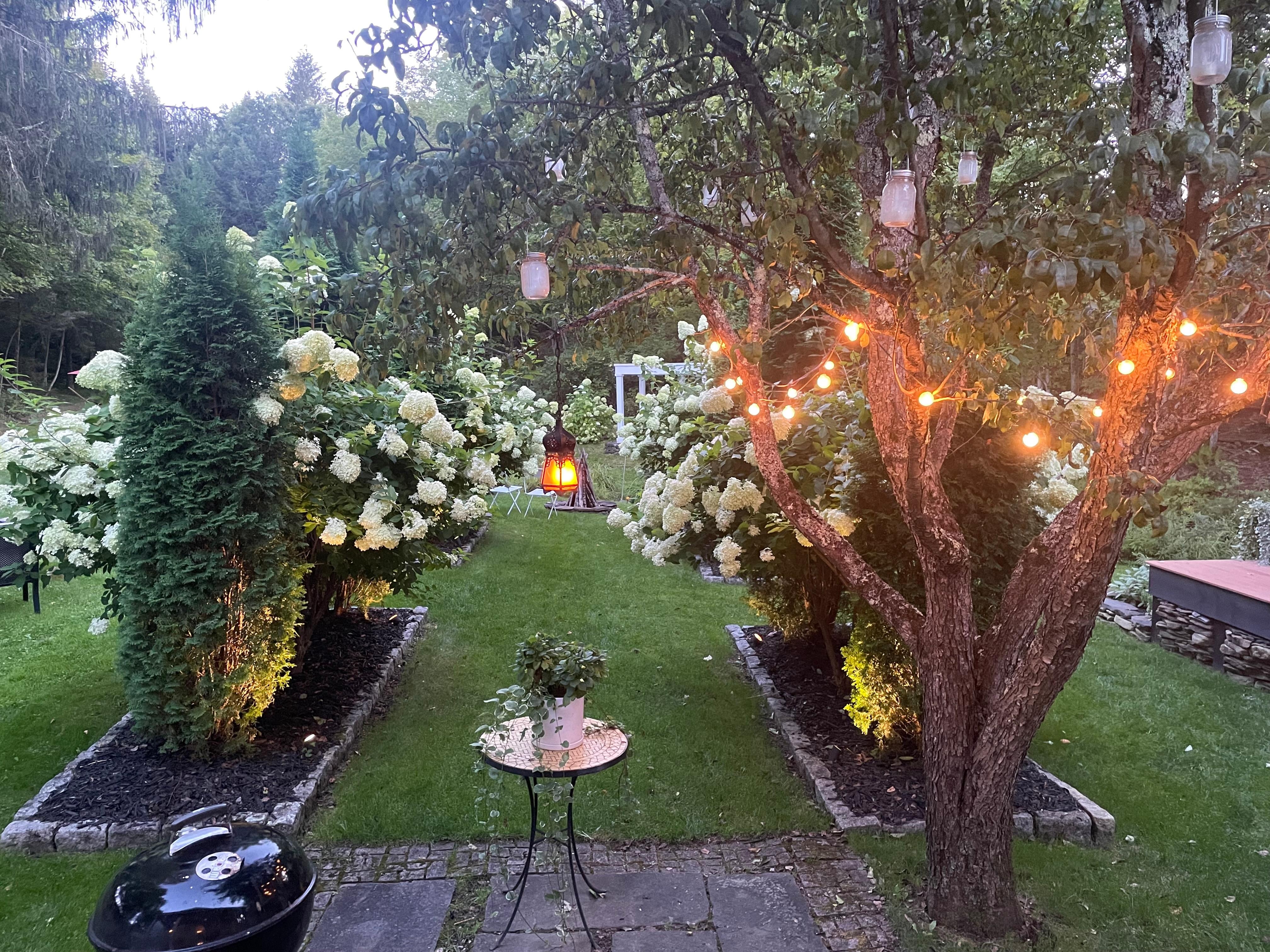 Garden/yard at dusk with lights on