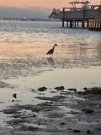 Sunrise on the bay side of the island