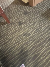 Dirty carpet living area