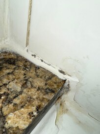 Mold growing along bath tub.
(Newly remodeled room)