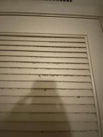 Moldy air vent