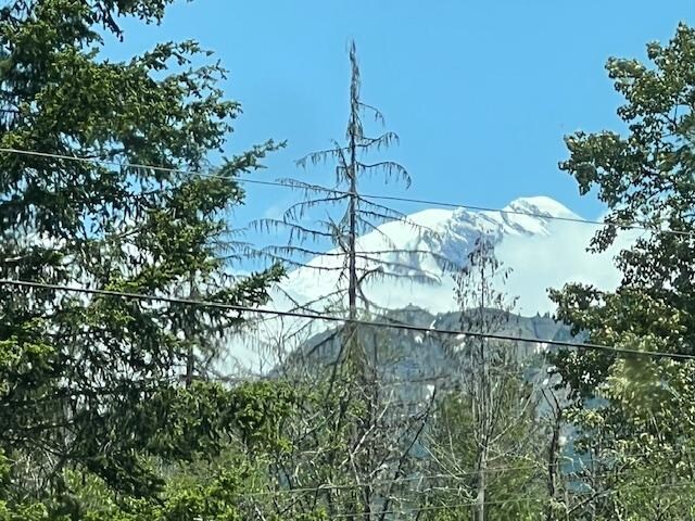 Thru the window.
Mt Rainier.