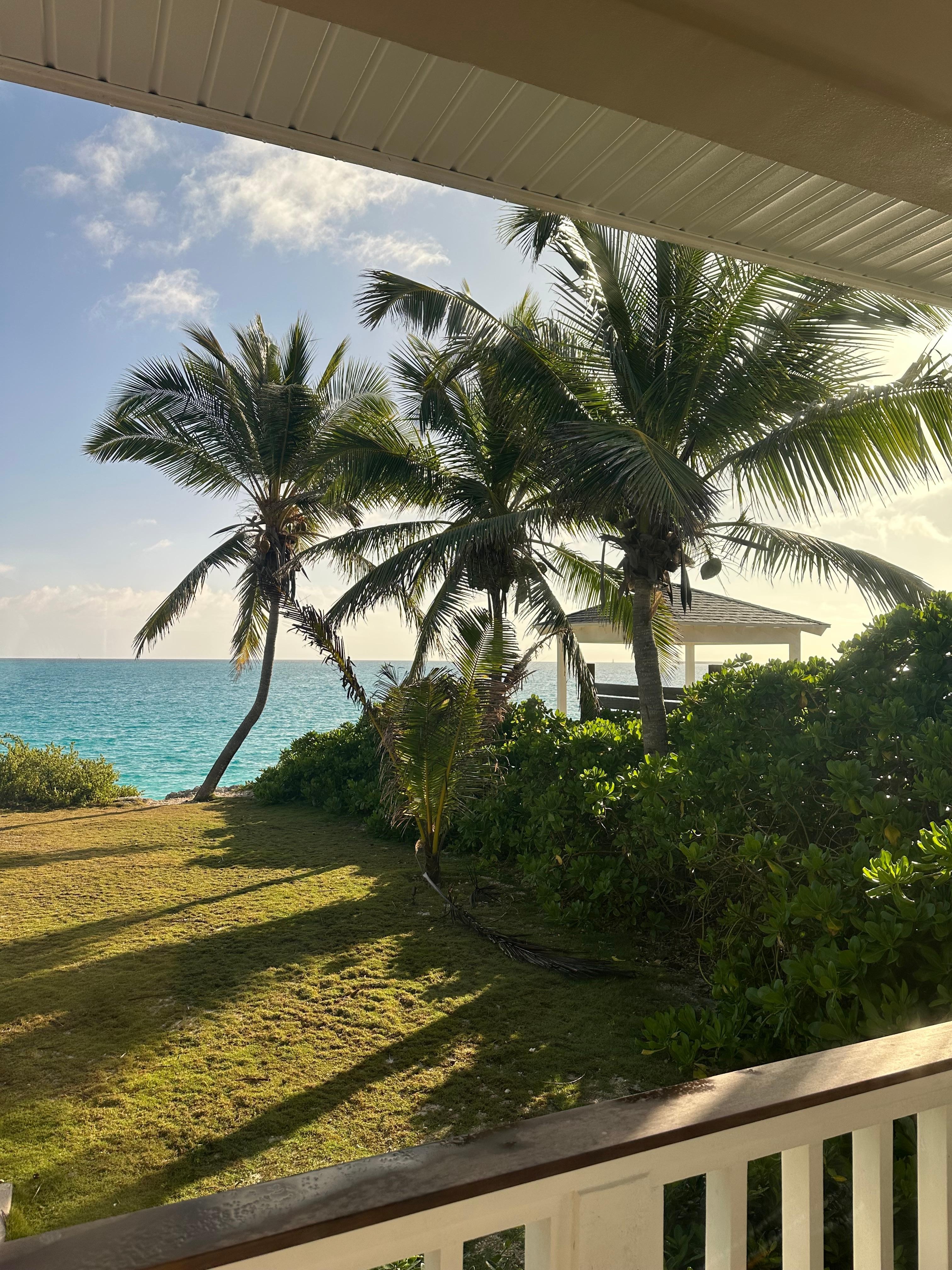 Mornings are the best with a cup of coffee 