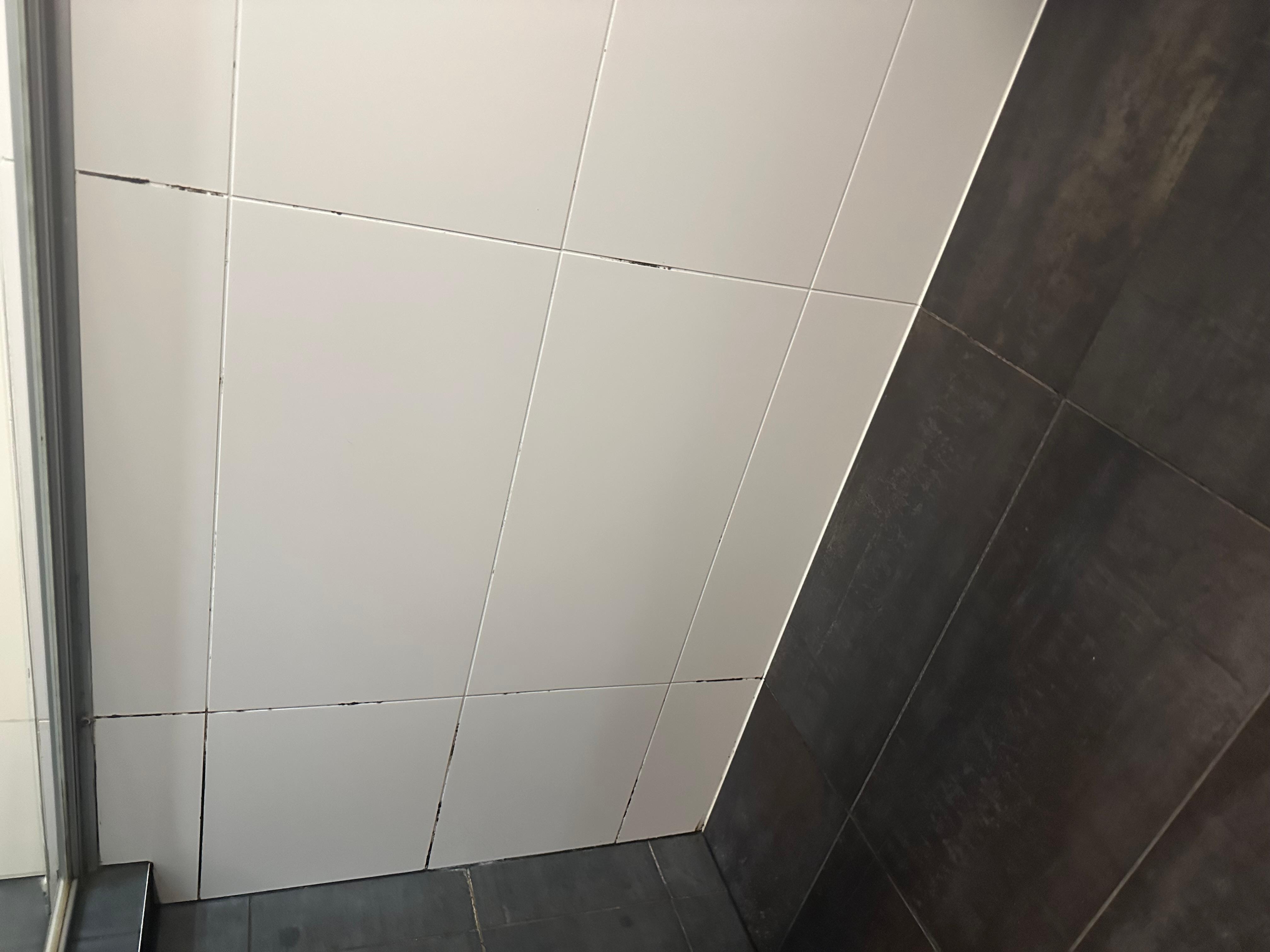 Mould in grout