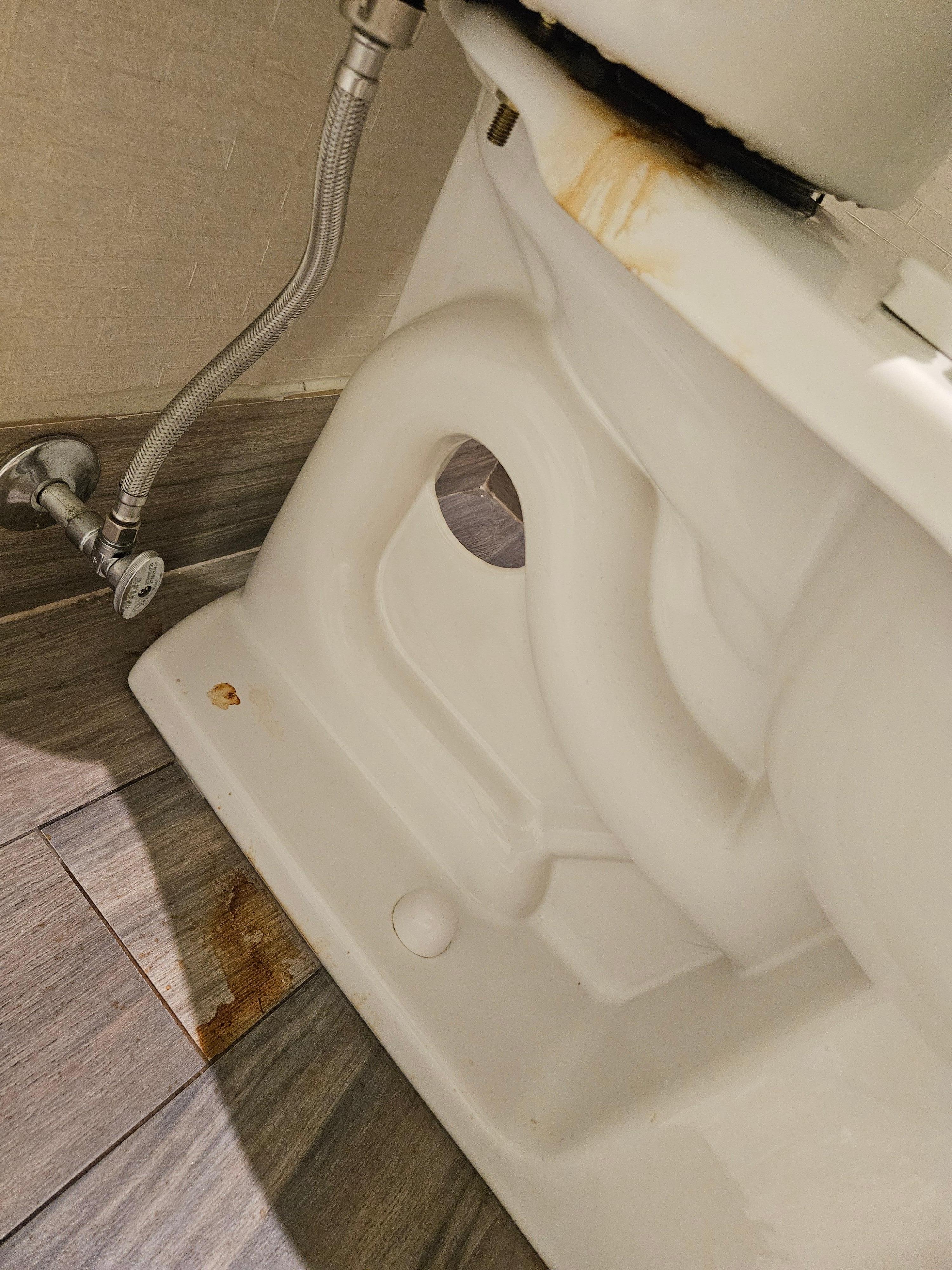 Toilet leaking