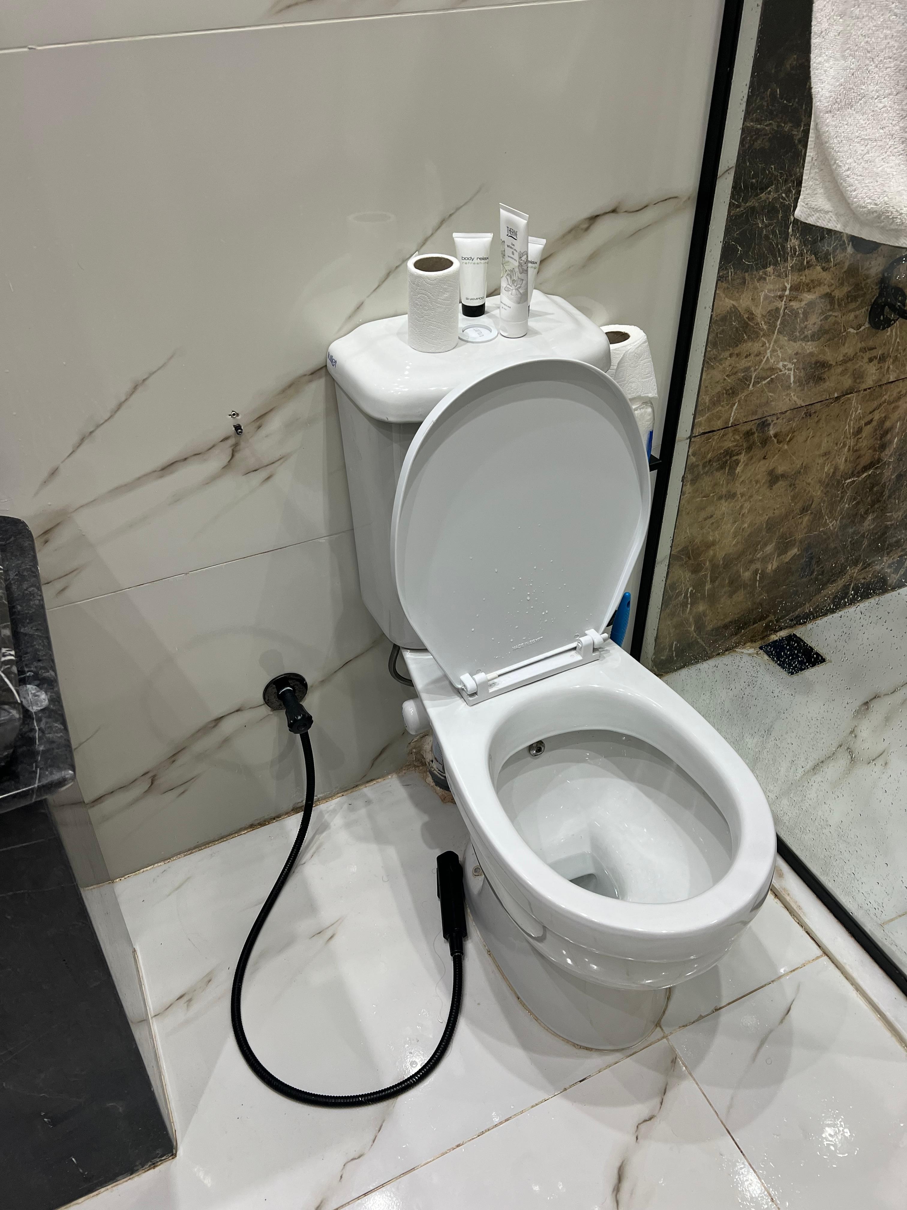 Pas de SIÈGE DE TOILETTE.. juste un couvert