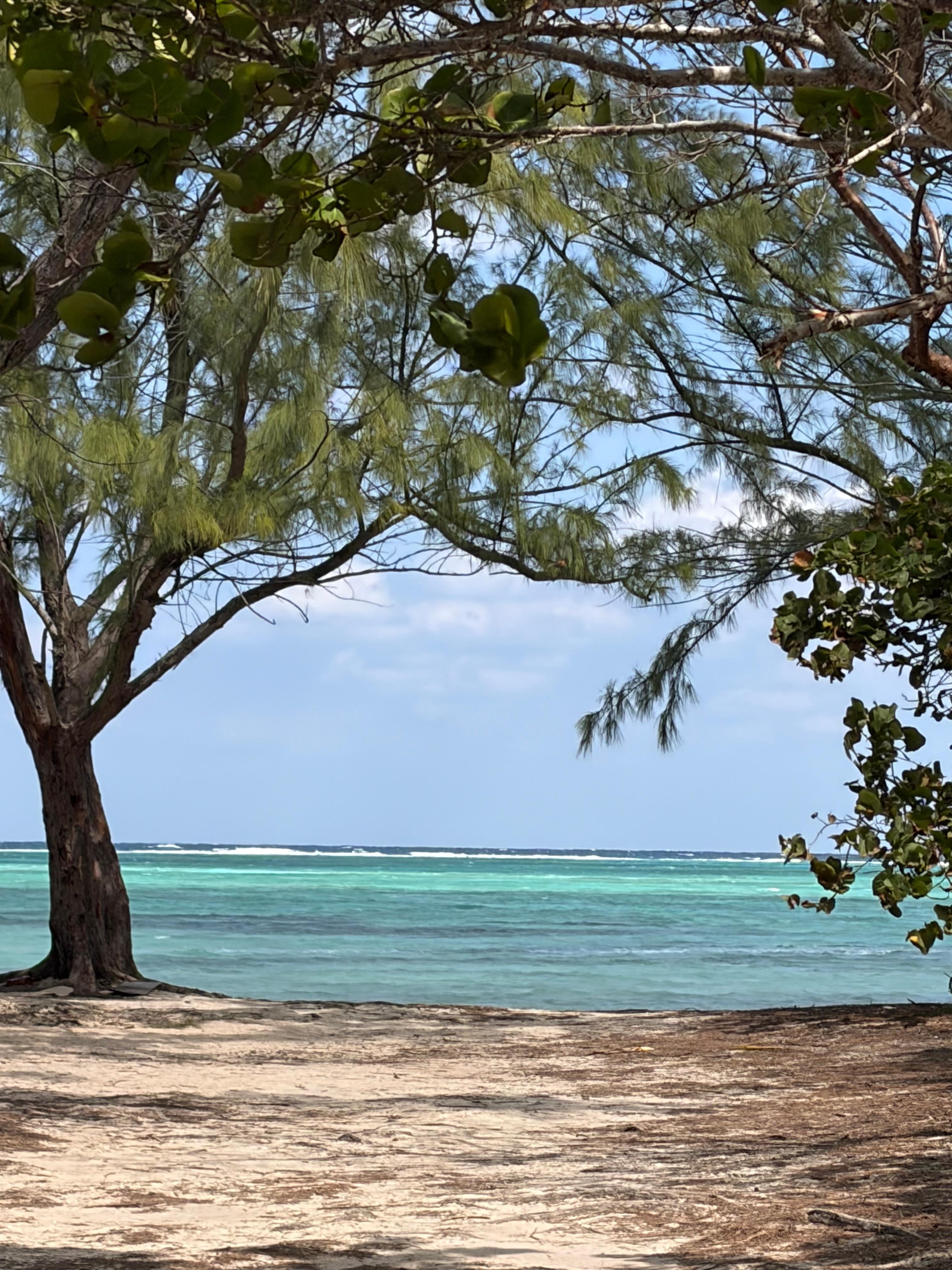 View on a walk through Barker’s National Park