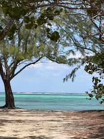 View on a walk through Barker’s National Park