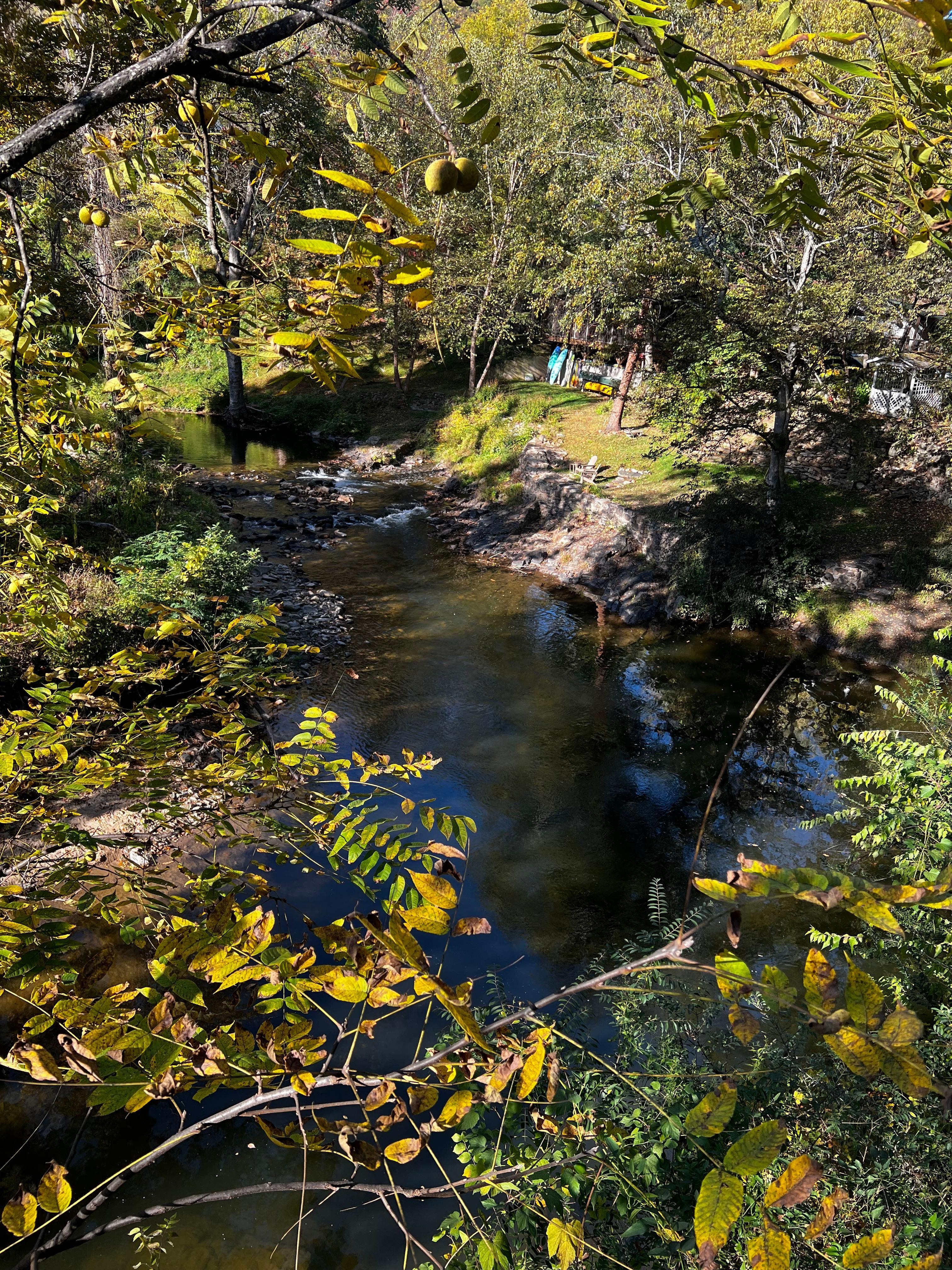 Spring Creek view from deck.