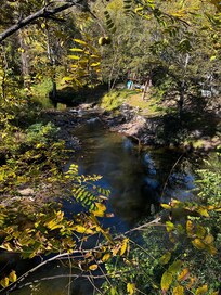Spring Creek view from deck.