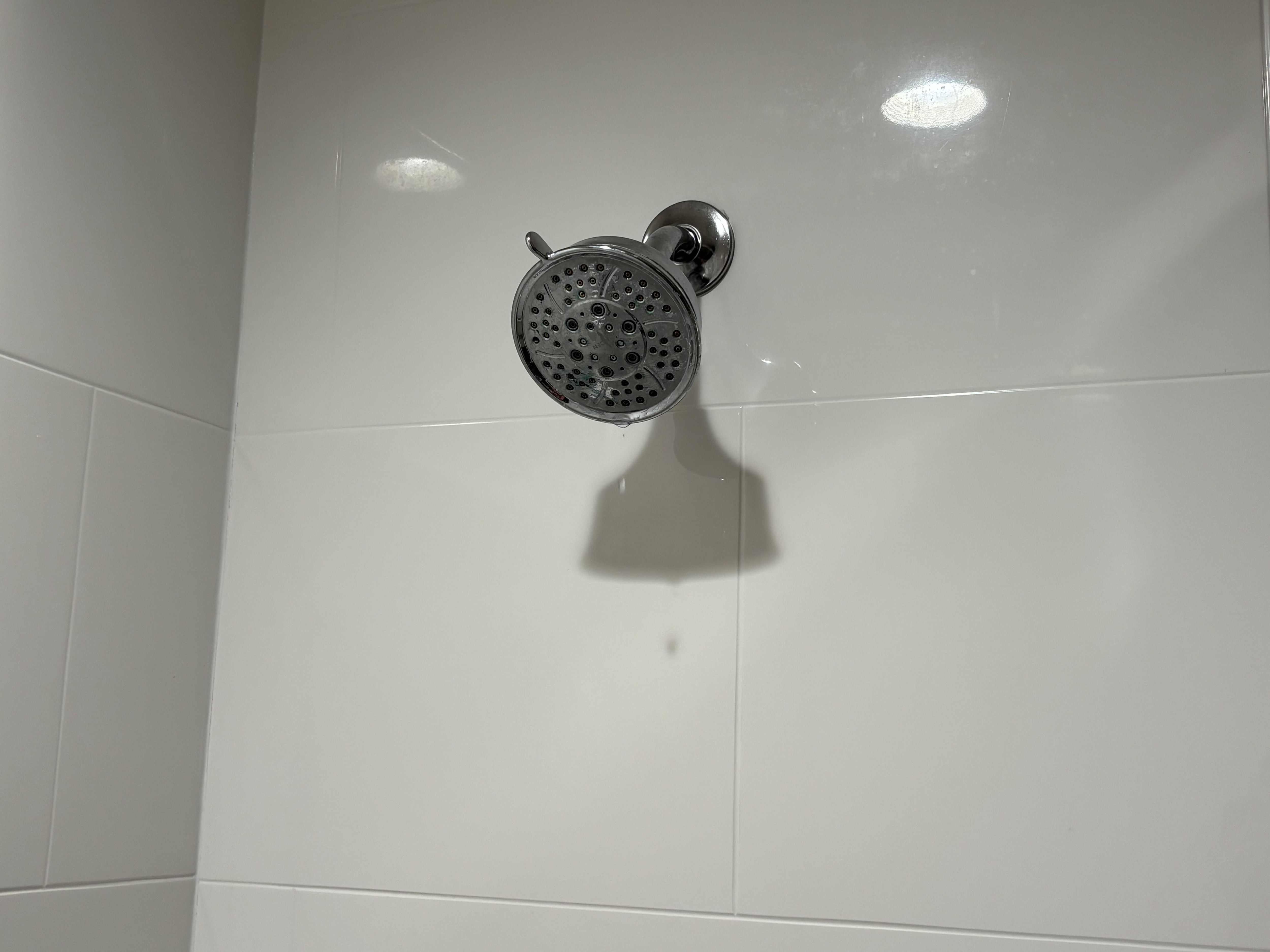 Shower head dripped in the full off position