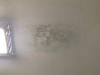 Mold