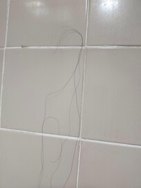 Hair on shower tile from previous guest