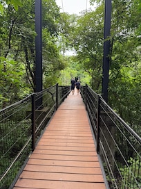 Hanging bridge