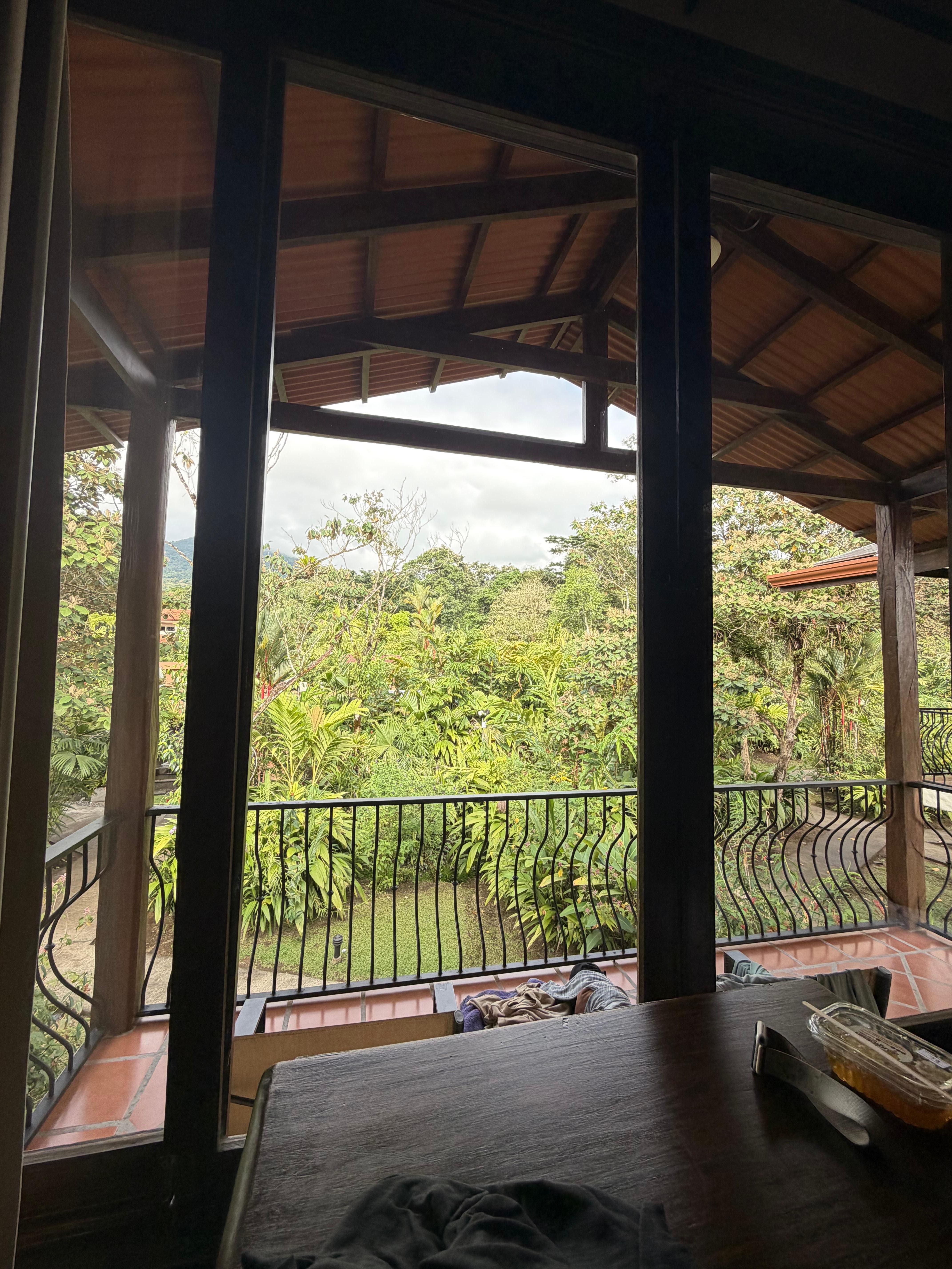 View from the breakfast area.