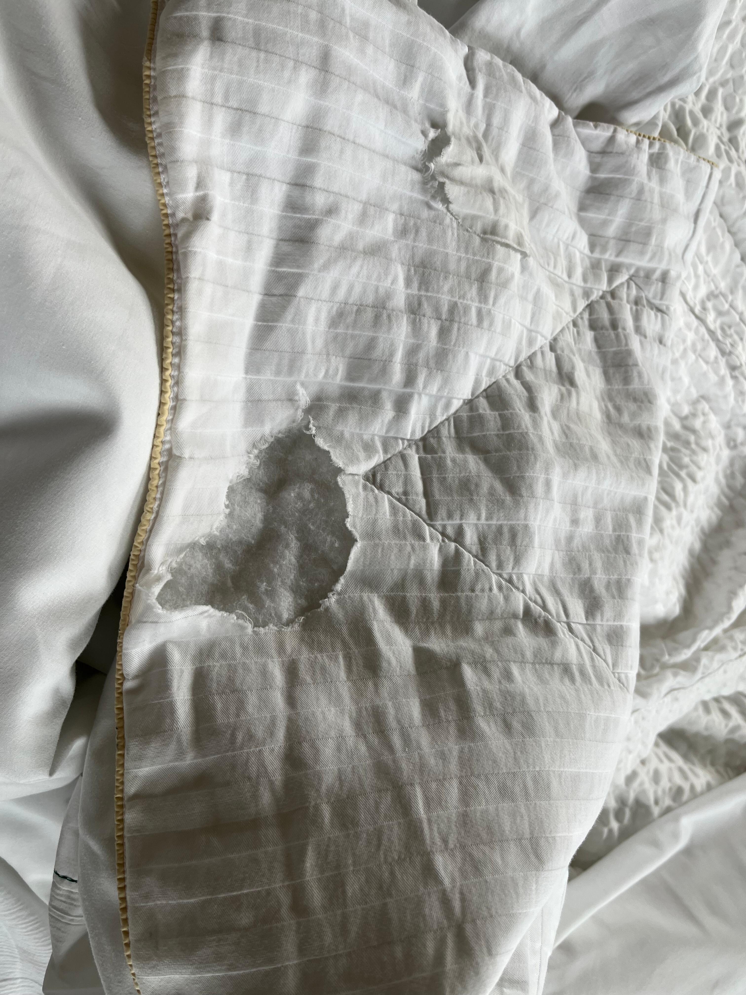 Holes in the bedding
