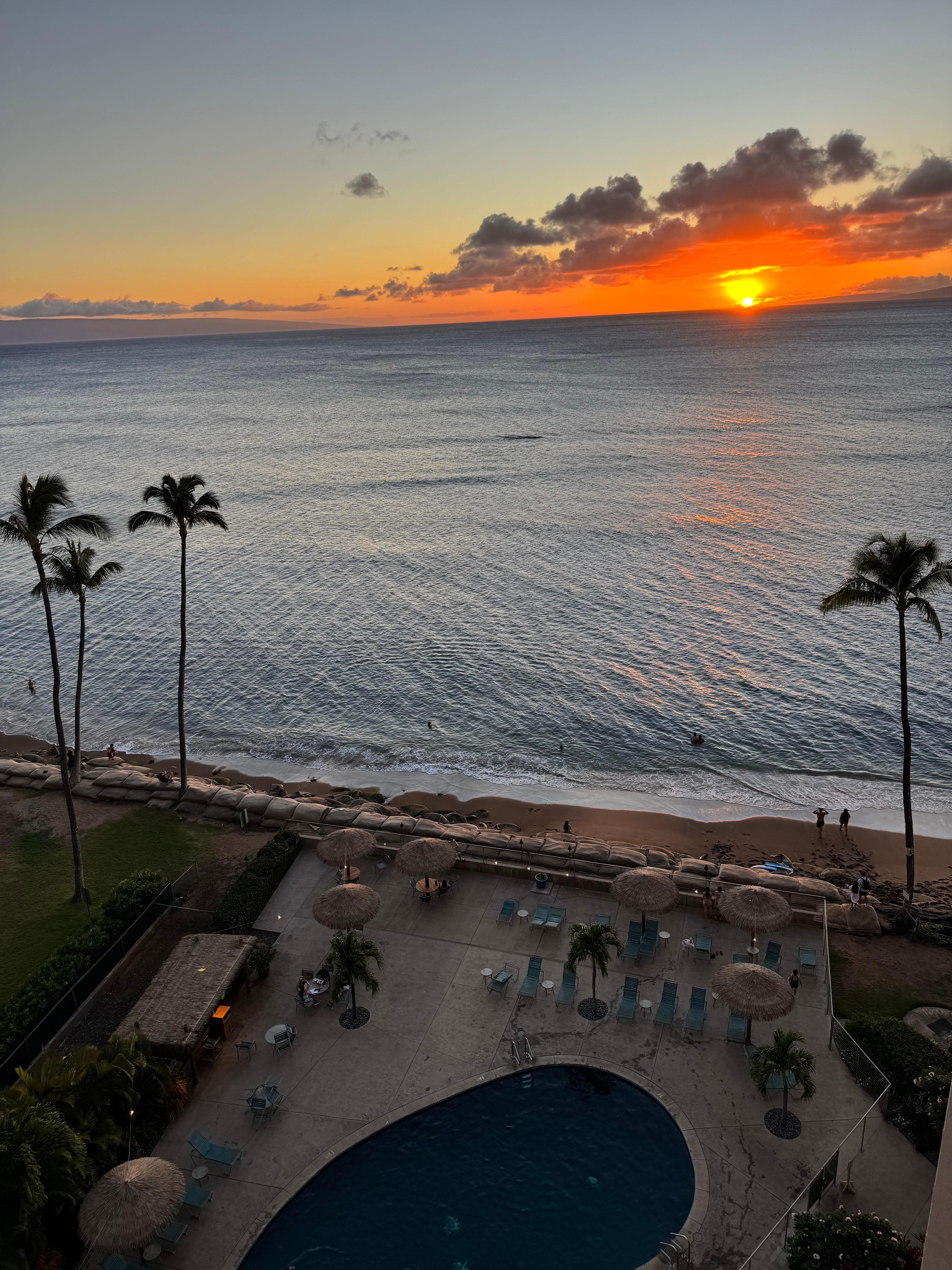 Sunset from our balcony. We often viewed turtles swimming near shore. 