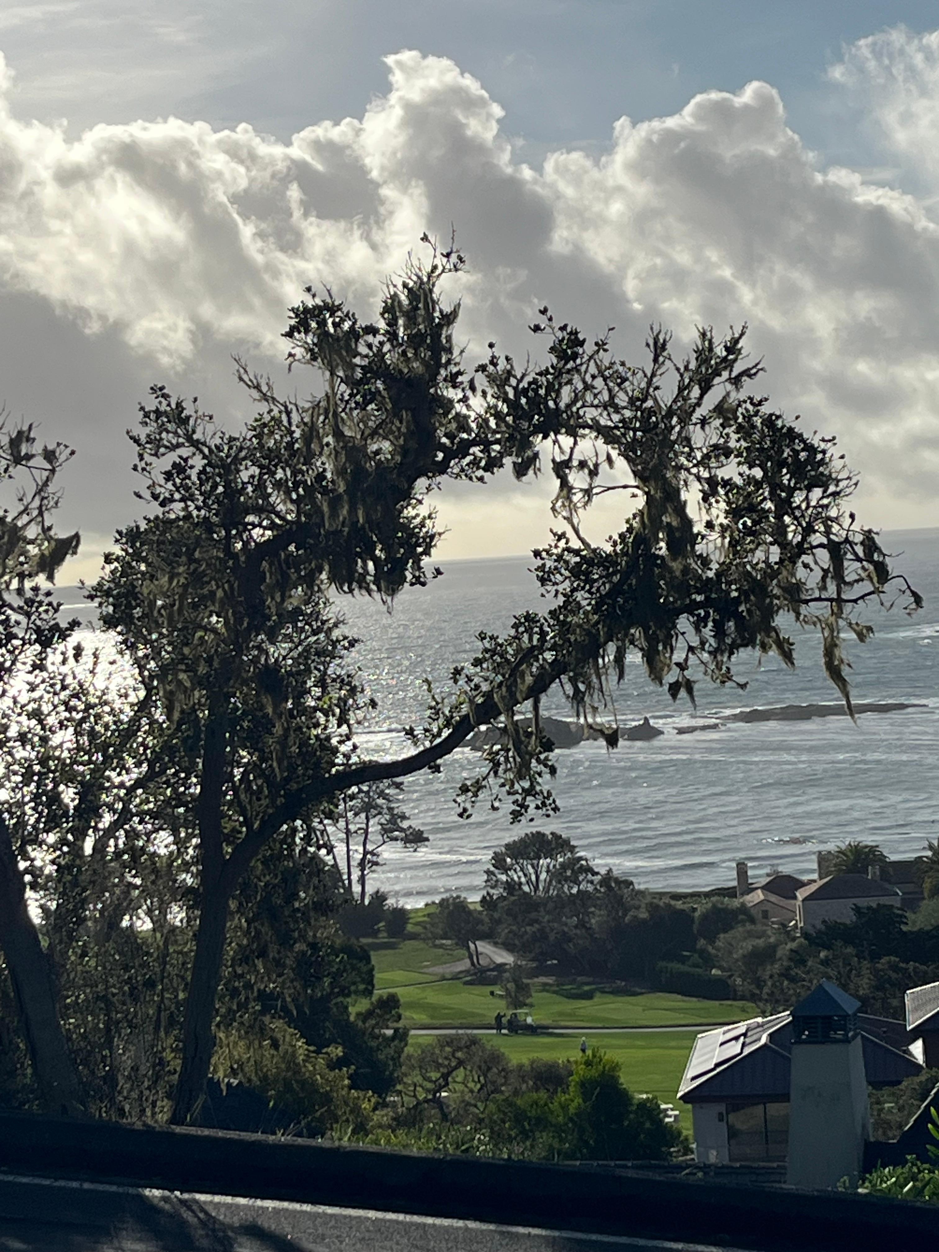 Views from walk from the house 