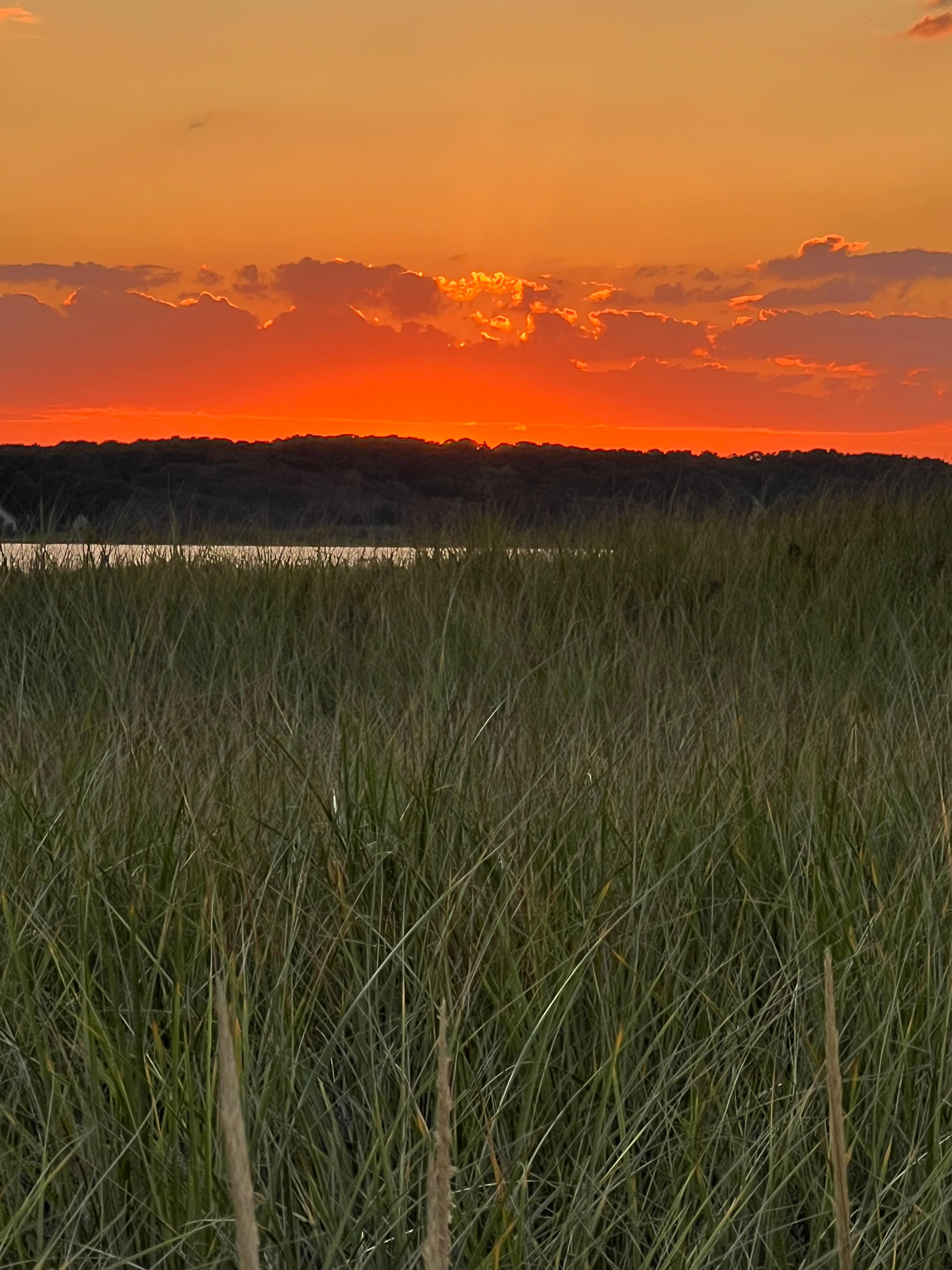 Such a beautiful sunset. 