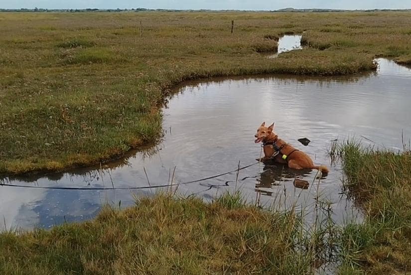 Corps de garde de Saint Germain sur Ay