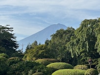View from lobby