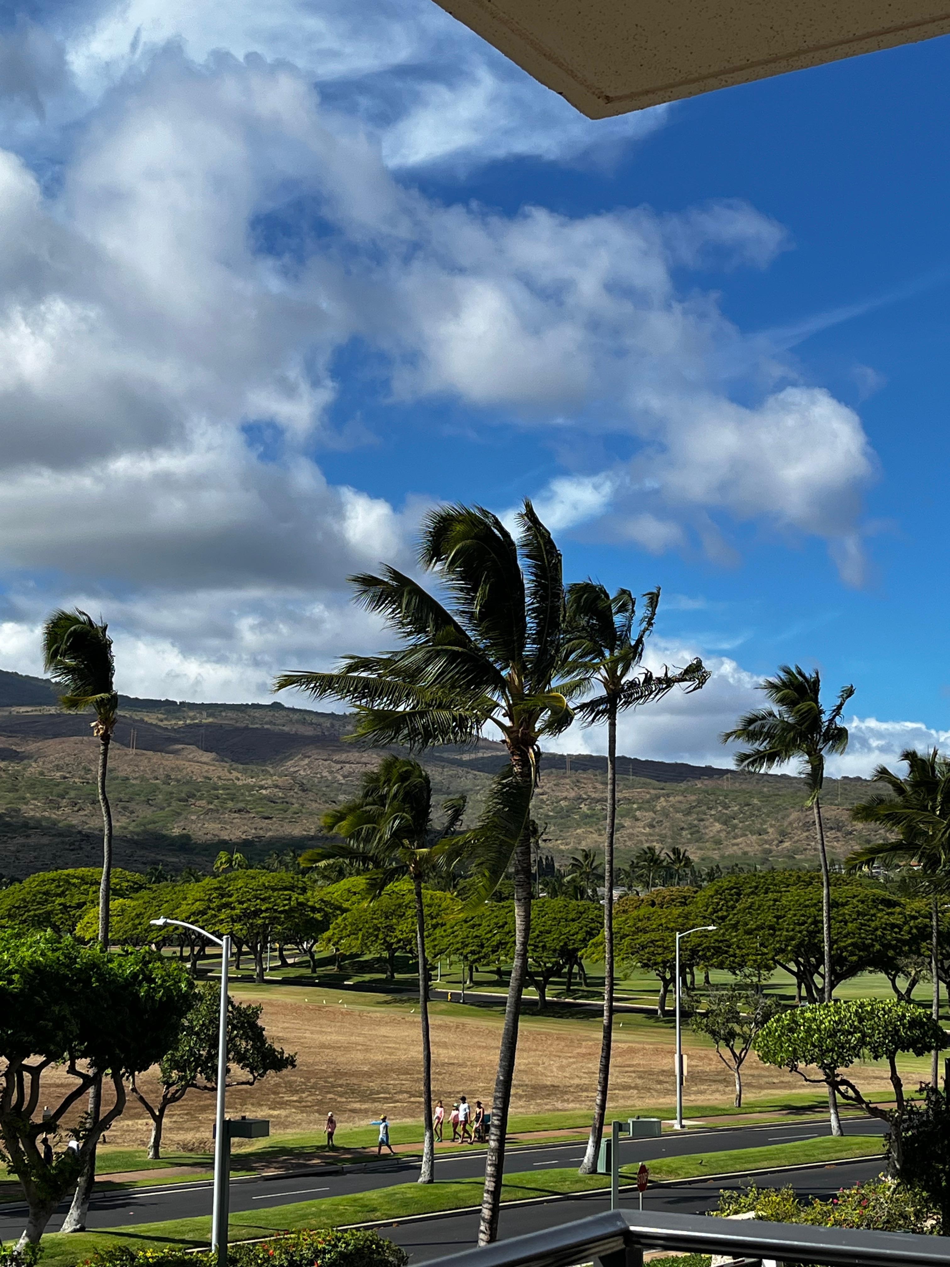 View from lanai