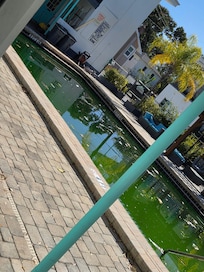 Pool was filthy and water was green.