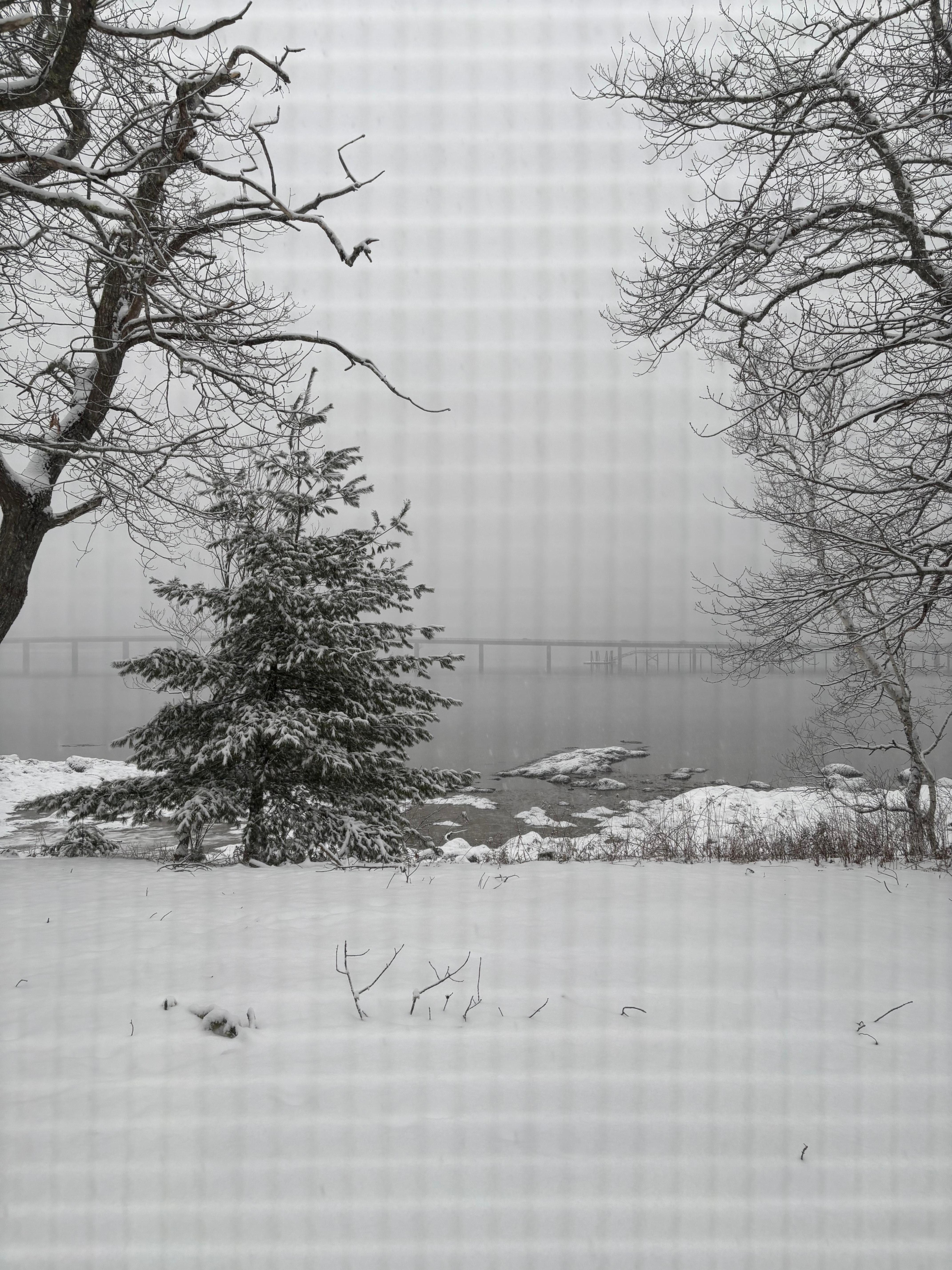 View during the snowstorm!