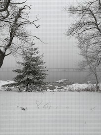 View during the snowstorm!