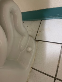 Filth under the toilet