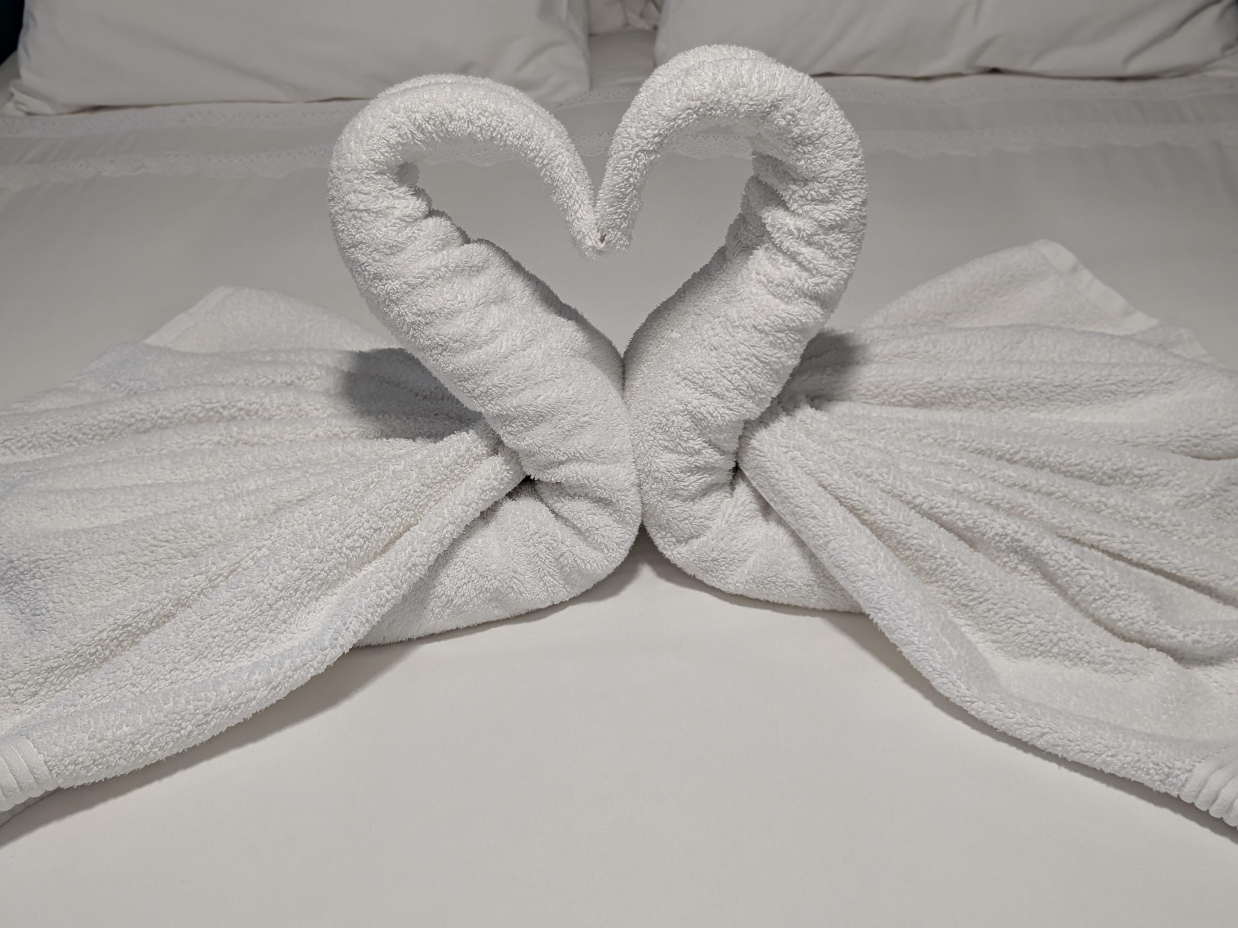Host created towel swans!