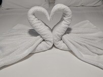Host created towel swans!