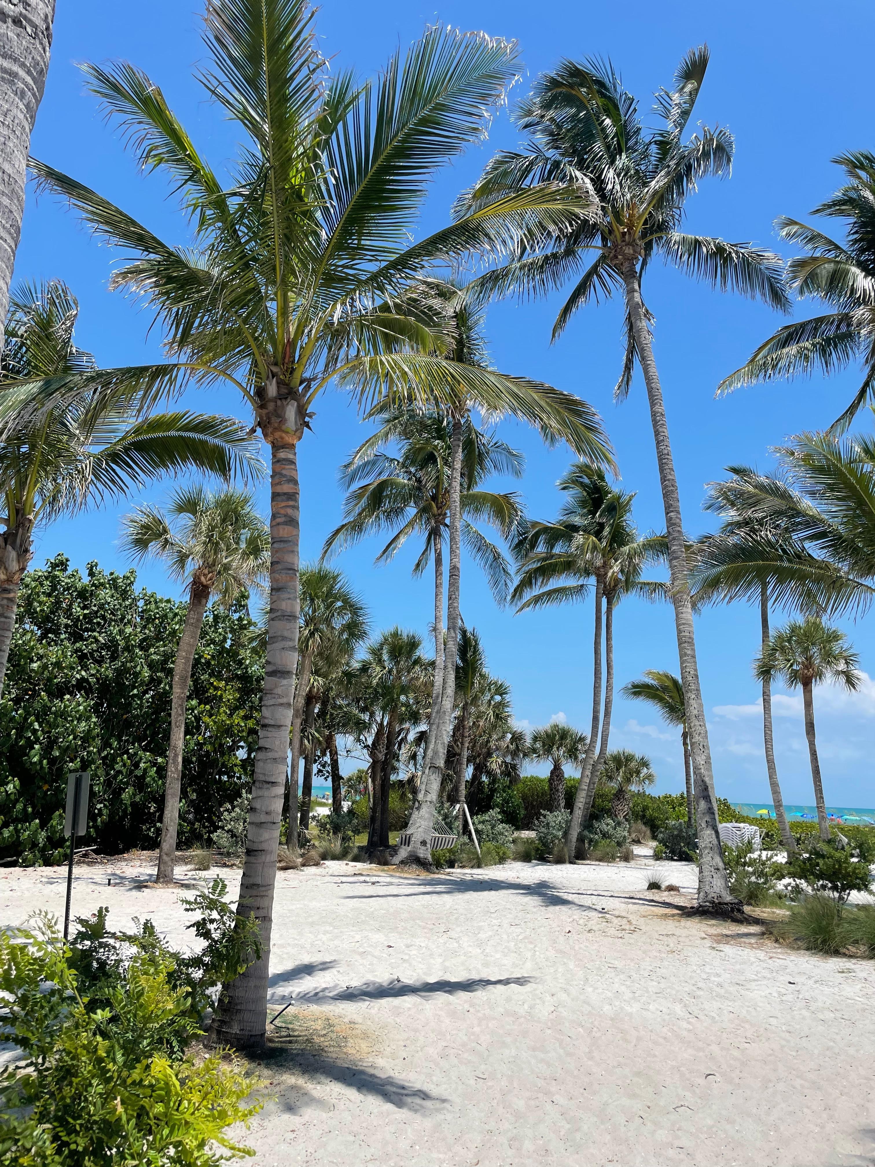 The short walk to the beach