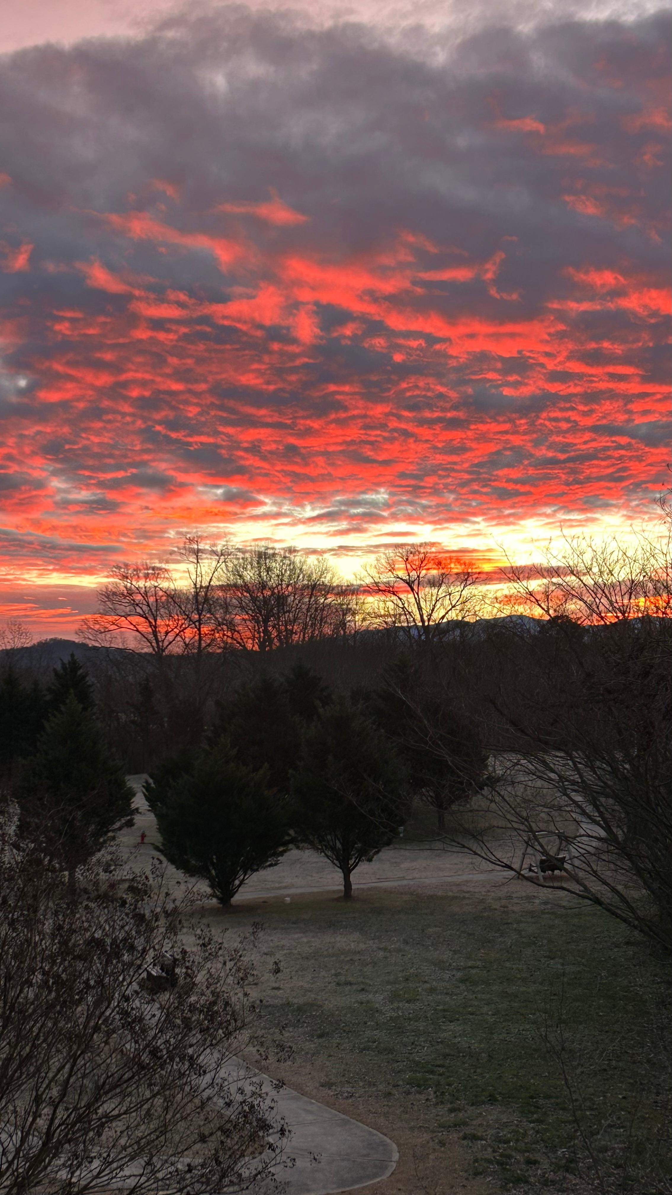 Gorgeous sunrises!!!