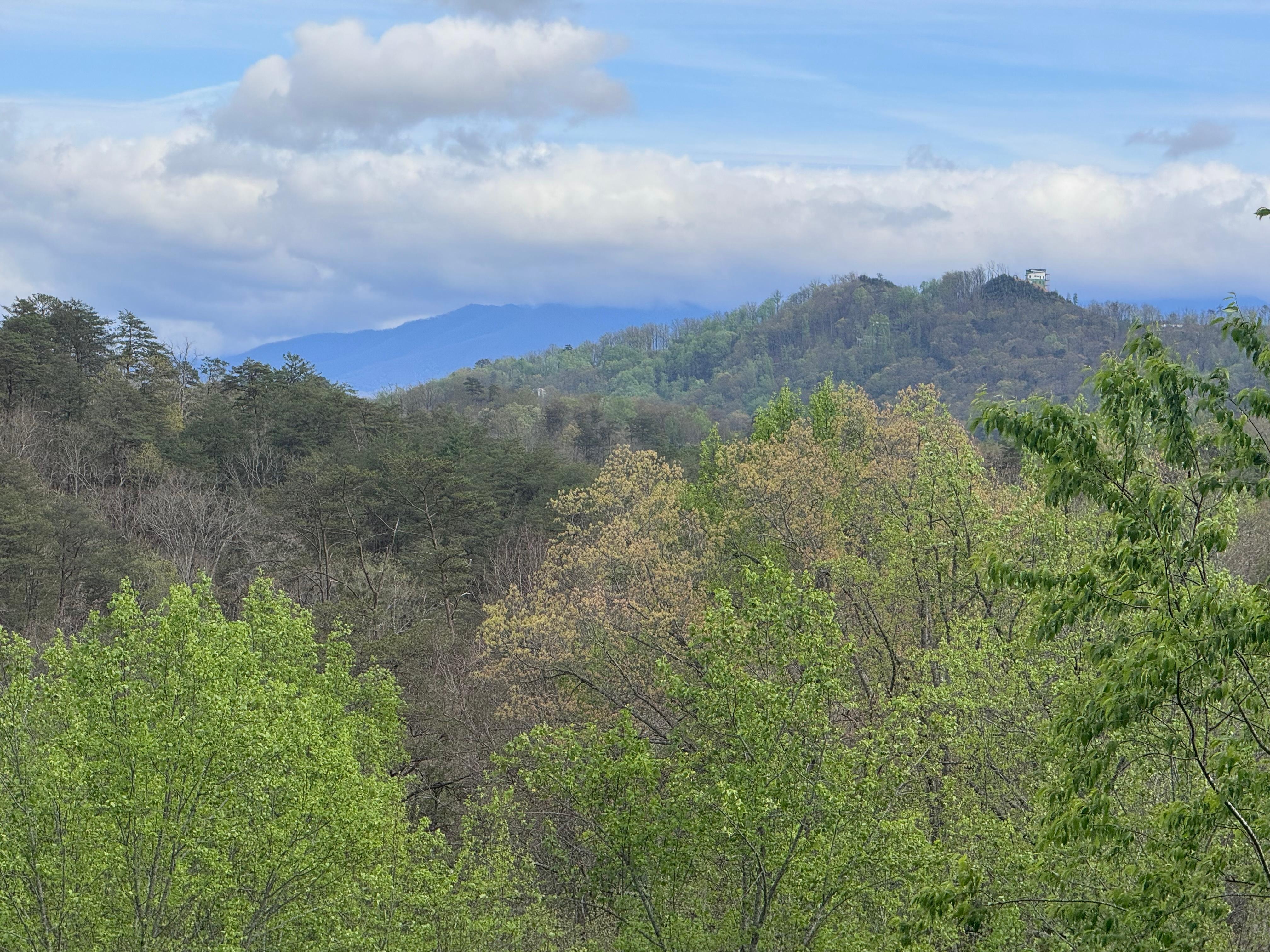 View from the balcony
