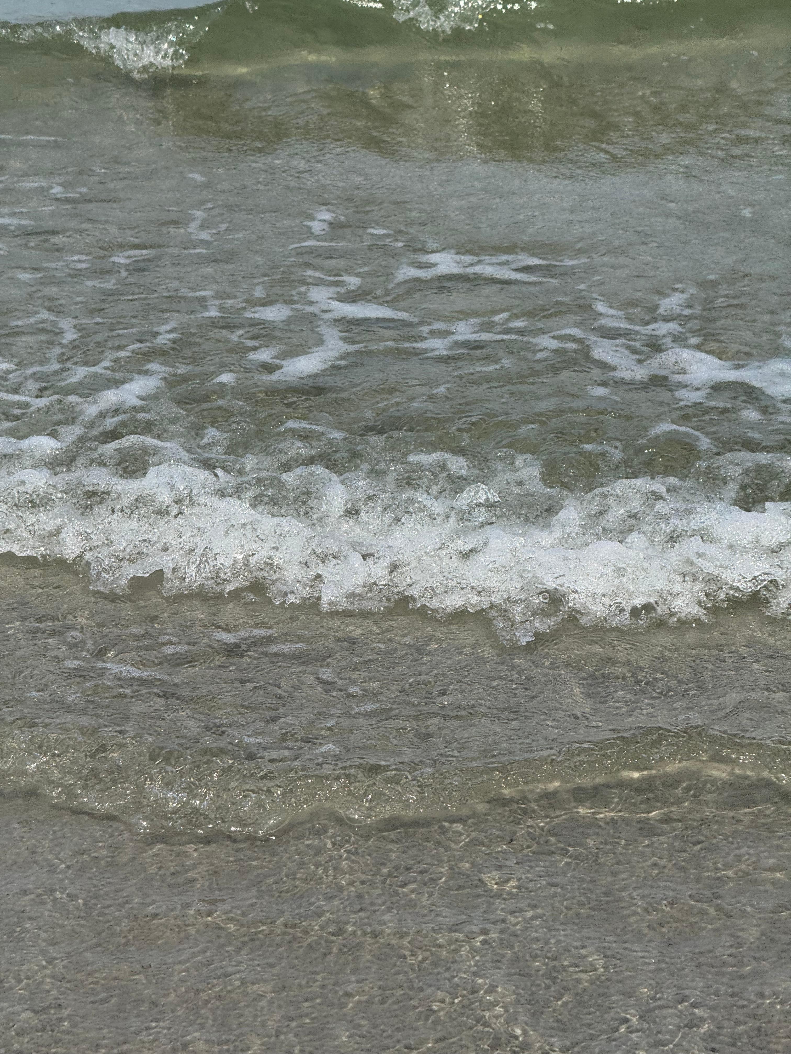 The Dunes at Mayflower Beach in Dennis