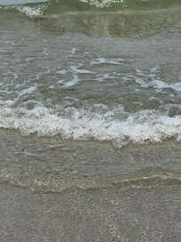 The Dunes at Mayflower Beach in Dennis
