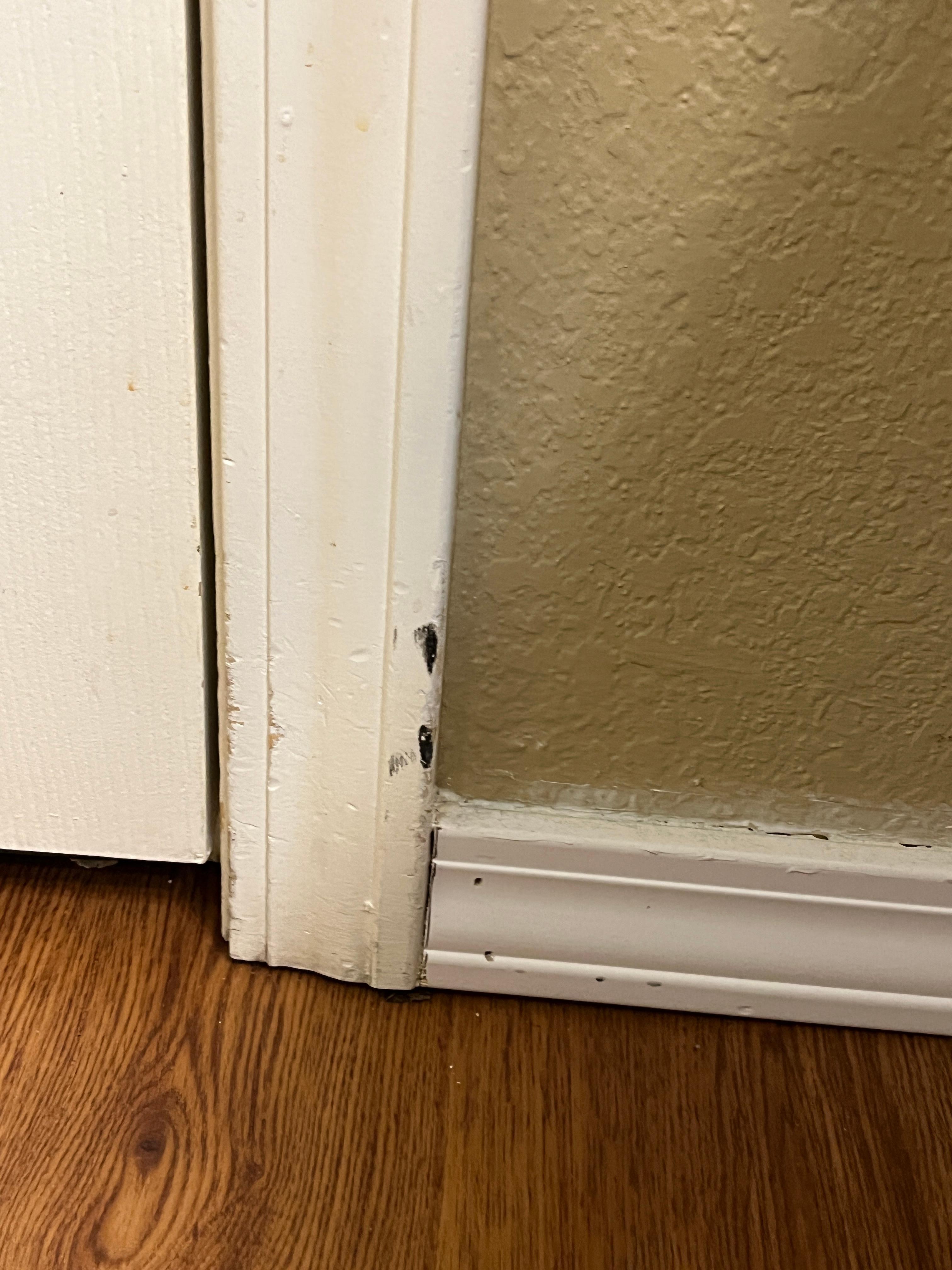 Needs a little touch up painting done