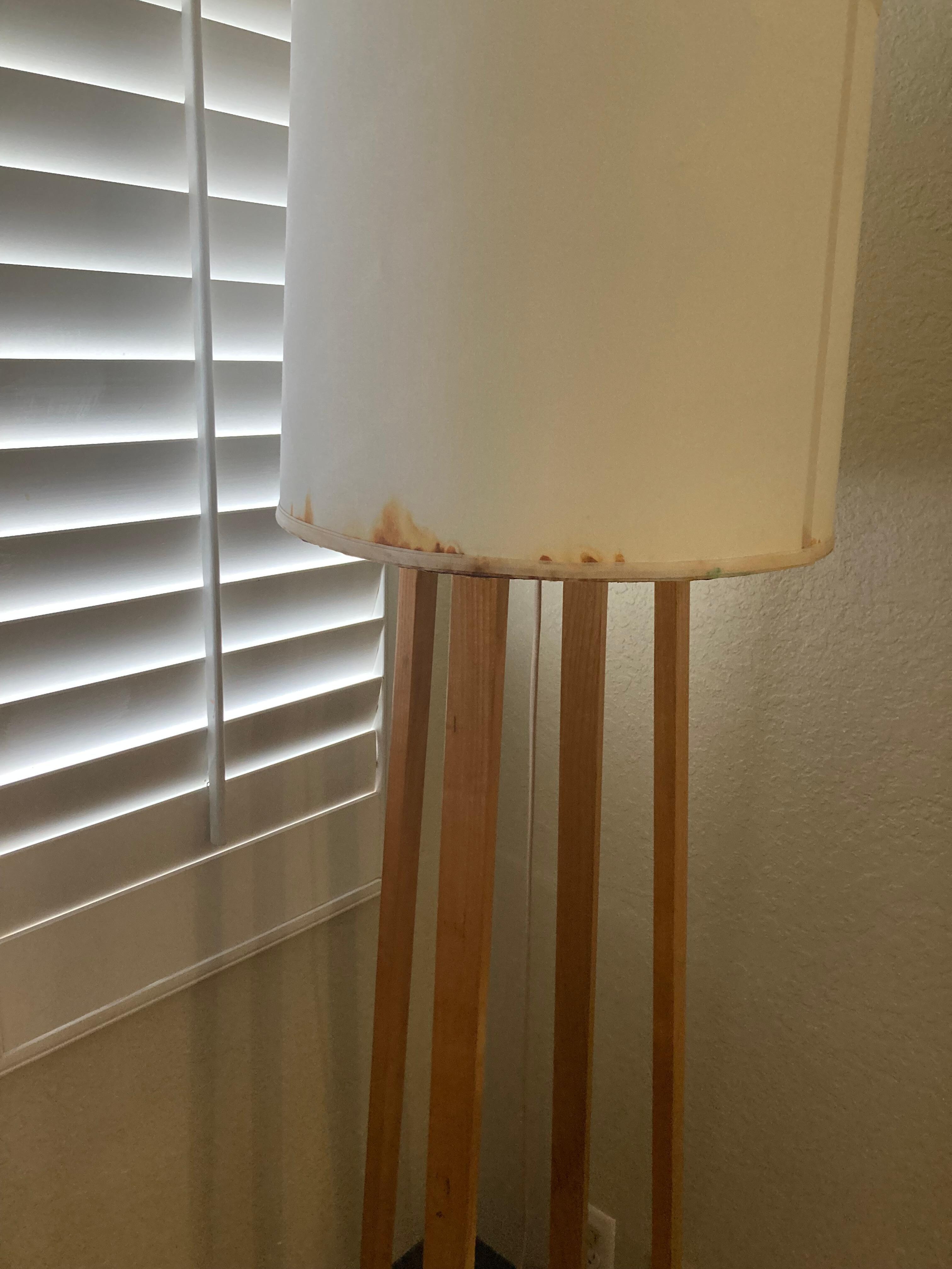 This is one of the lamps in the room